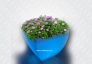 SQUARE-LIGHT-FLOWER-POTS4